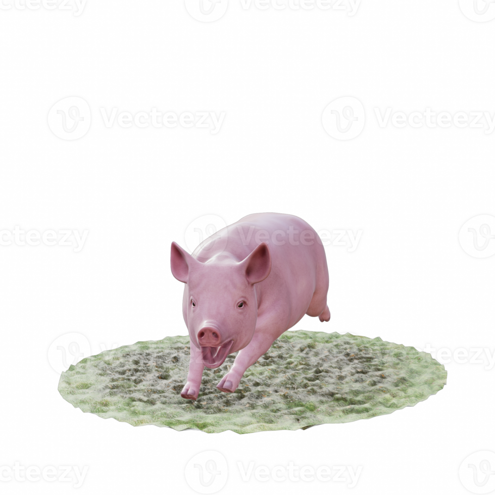 Pig isolated 3d png