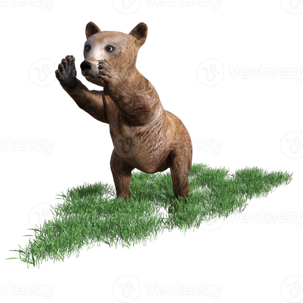 3d rendering of a brown bear on grass png
