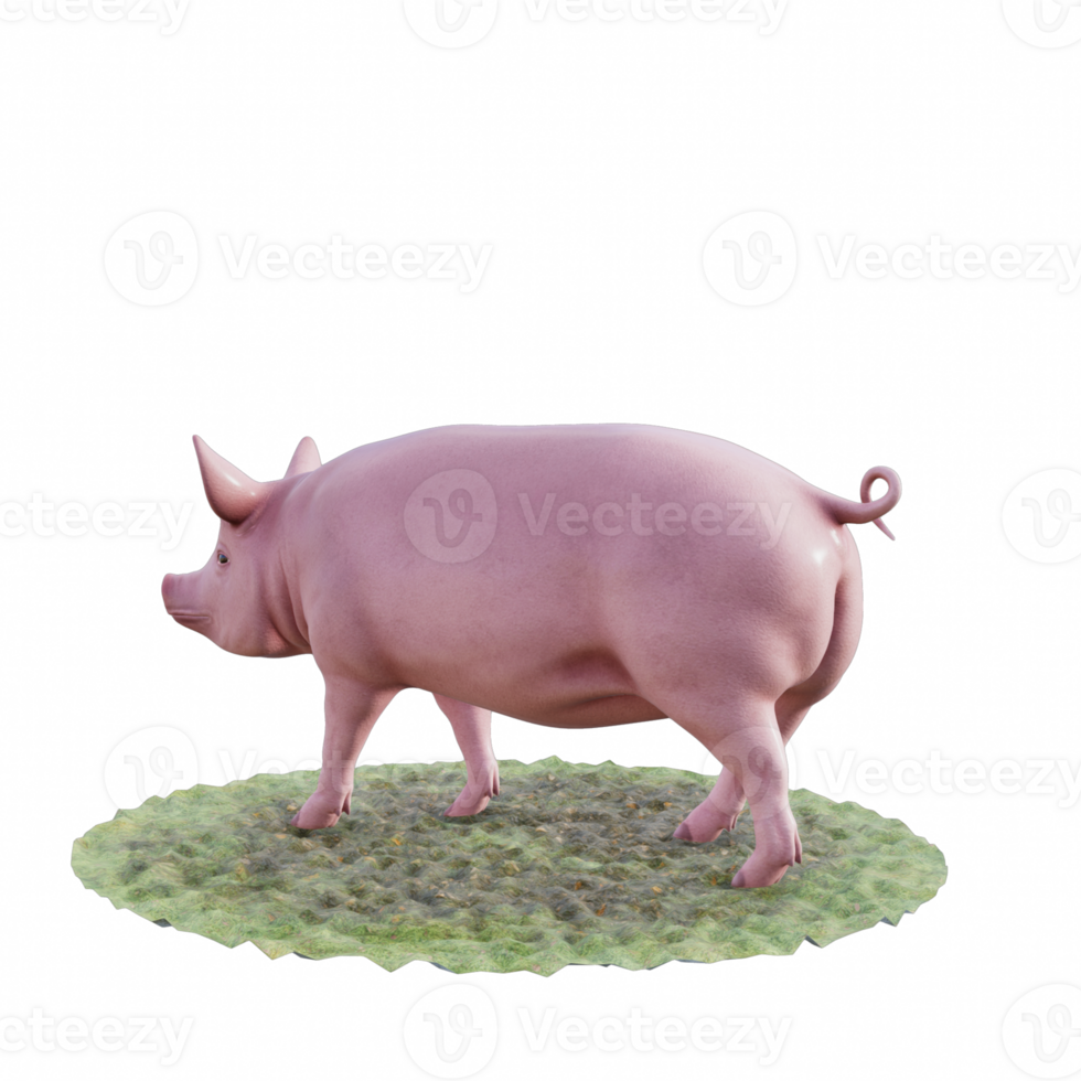 Pig isolated 3d png