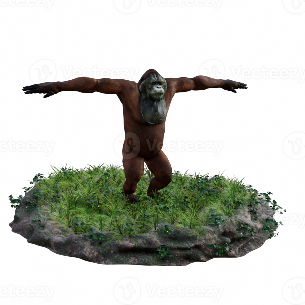 Orangutan isolated 3d png