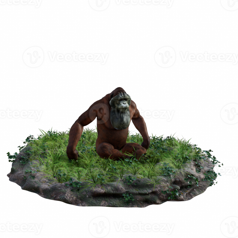 Orangutan isolated 3d png