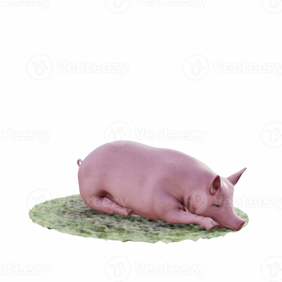 Pig isolated 3d png