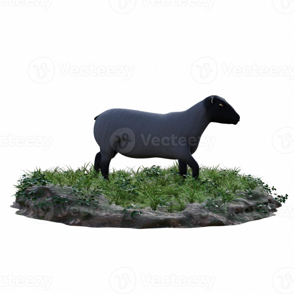 Sheep isolated 3d png