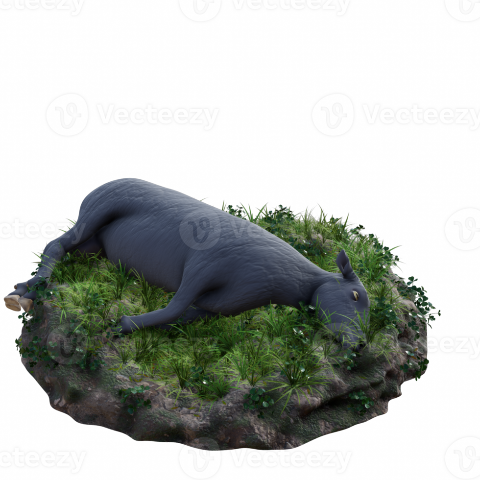 Sheep isolated 3d png