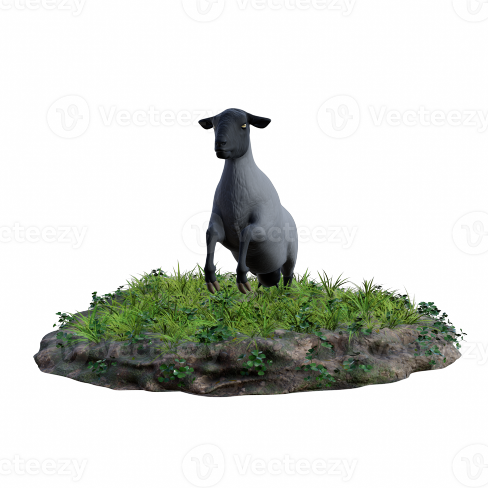 Sheep isolated 3d png