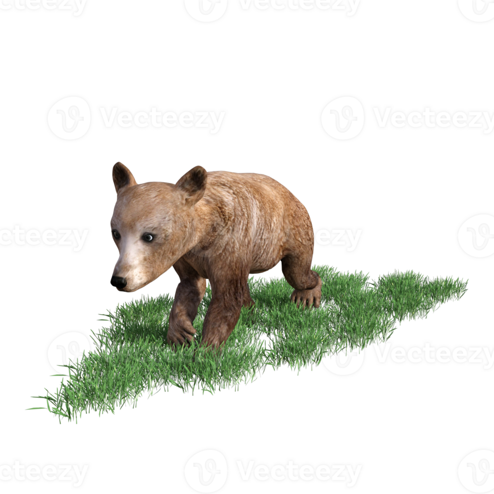 3d rendering of a brown bear on grass png