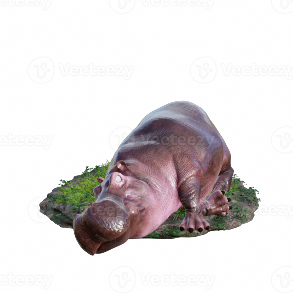 hippopotamus isolated 3d png