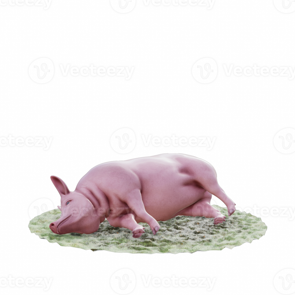 Pig isolated 3d png