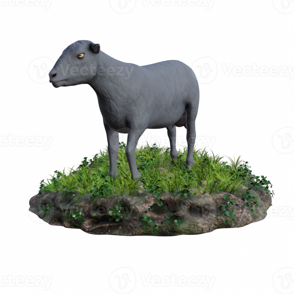 Sheep isolated 3d png