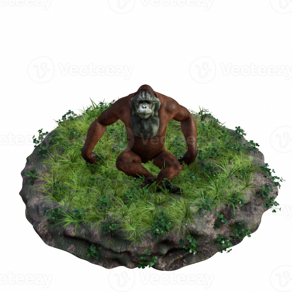 Orangutan isolated 3d png