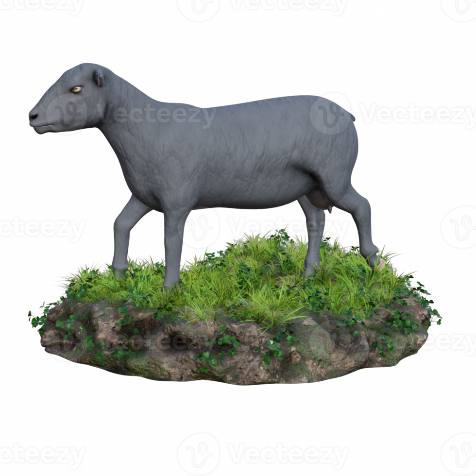 Sheep isolated 3d png