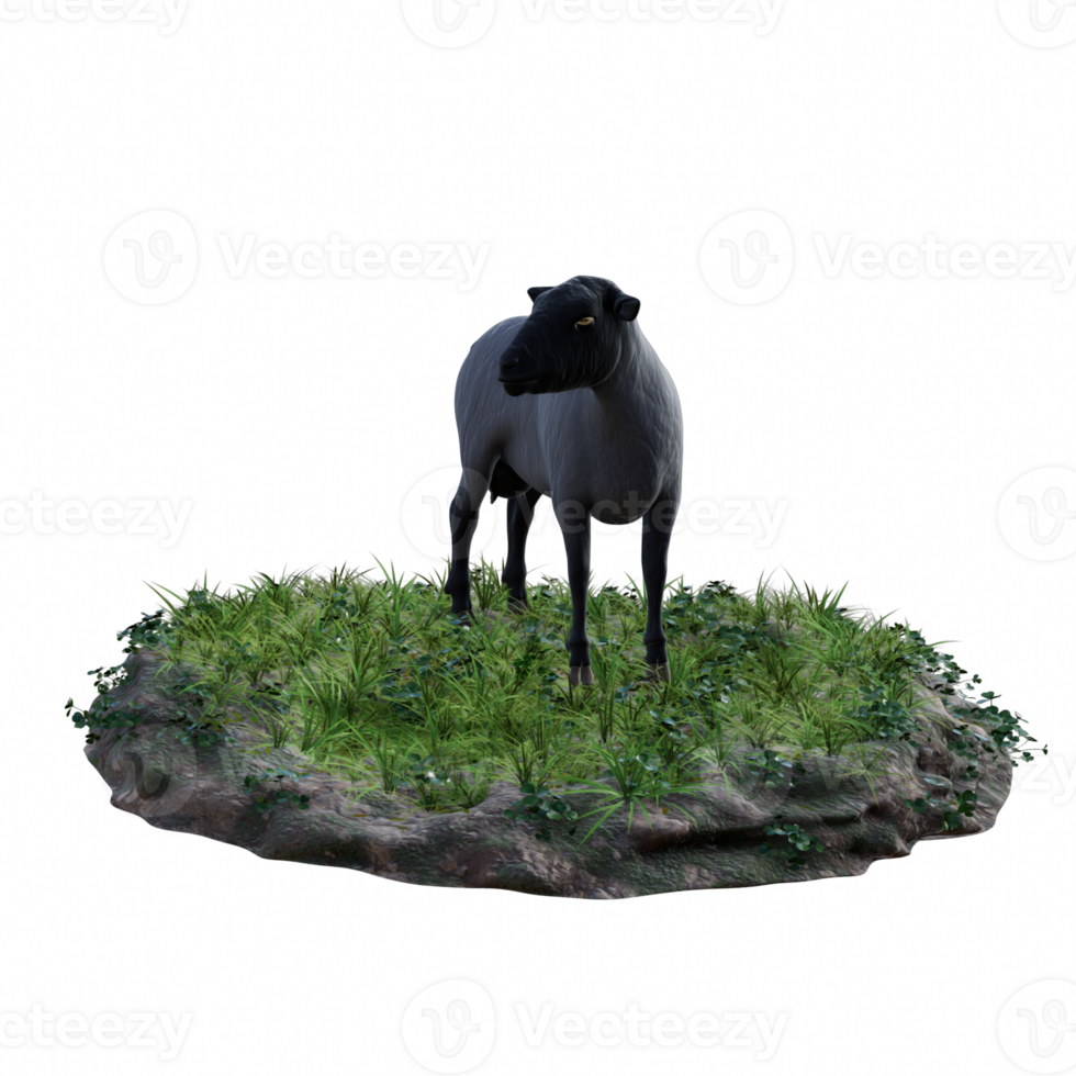 Sheep isolated 3d png