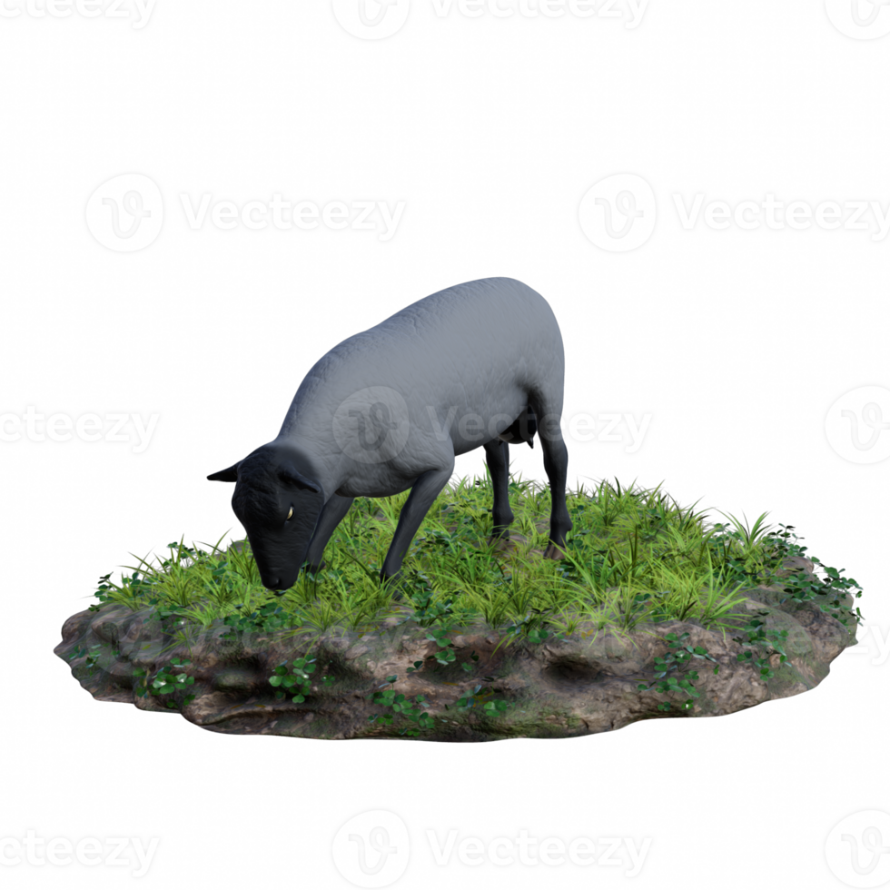 Sheep isolated 3d png