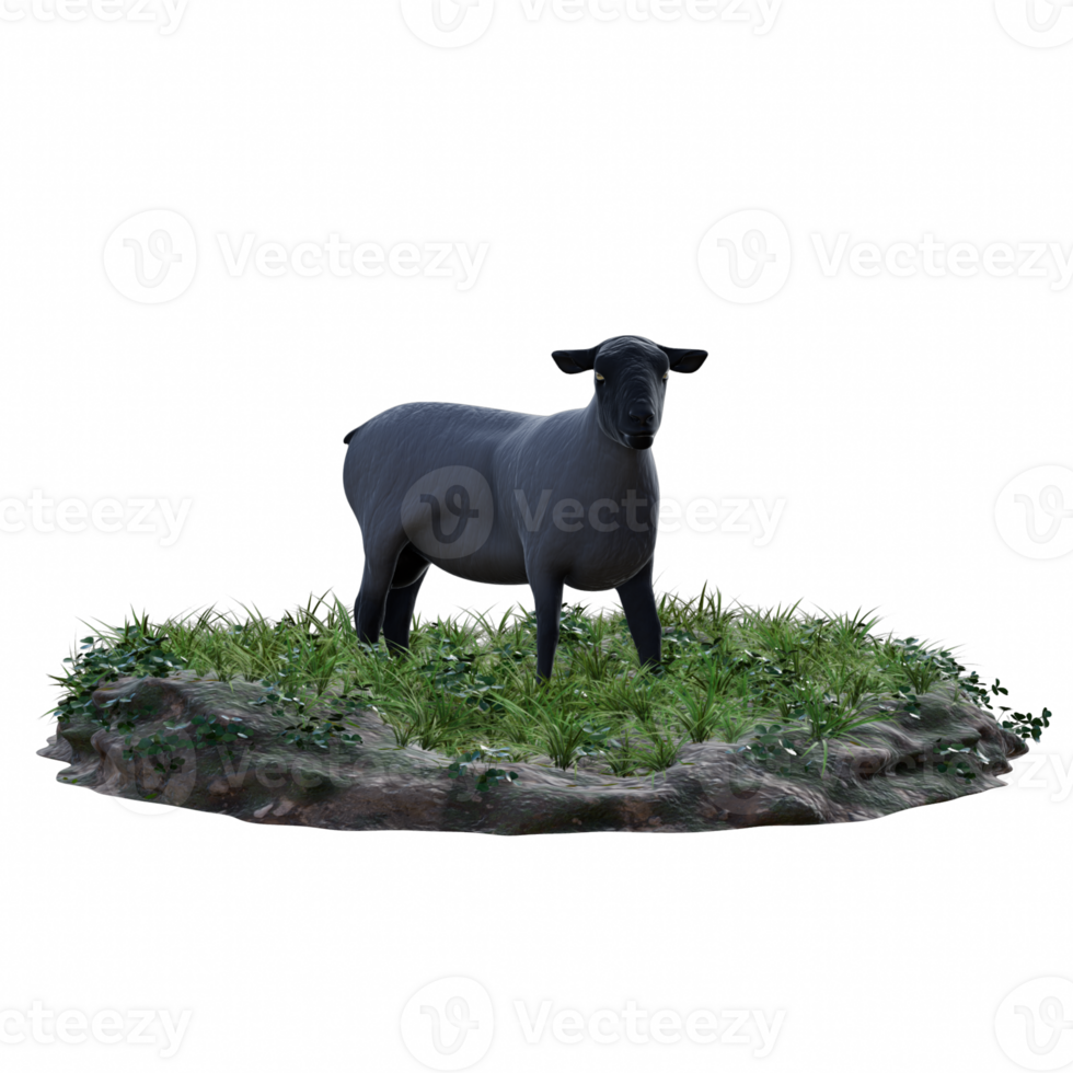 Sheep isolated 3d png