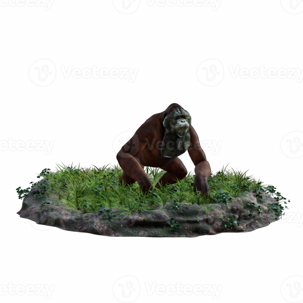 Orangutan isolated 3d png