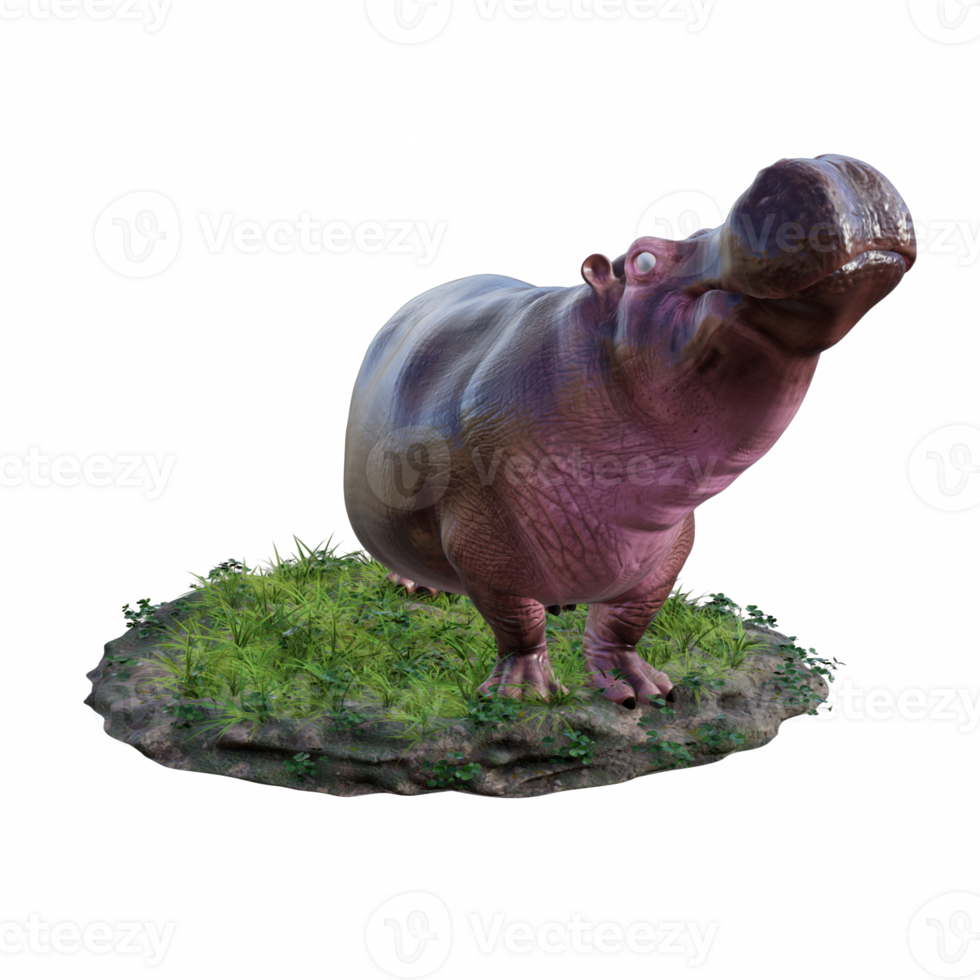 hippopotamus isolated 3d png