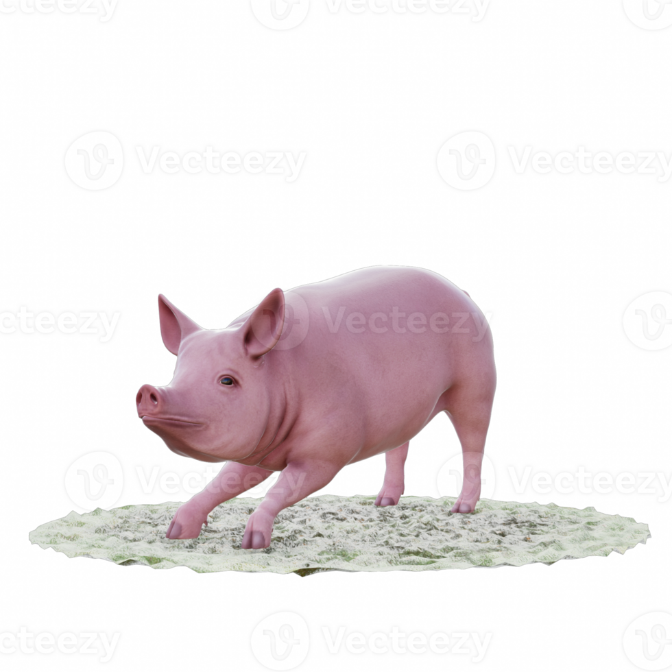 Pig isolated 3d png