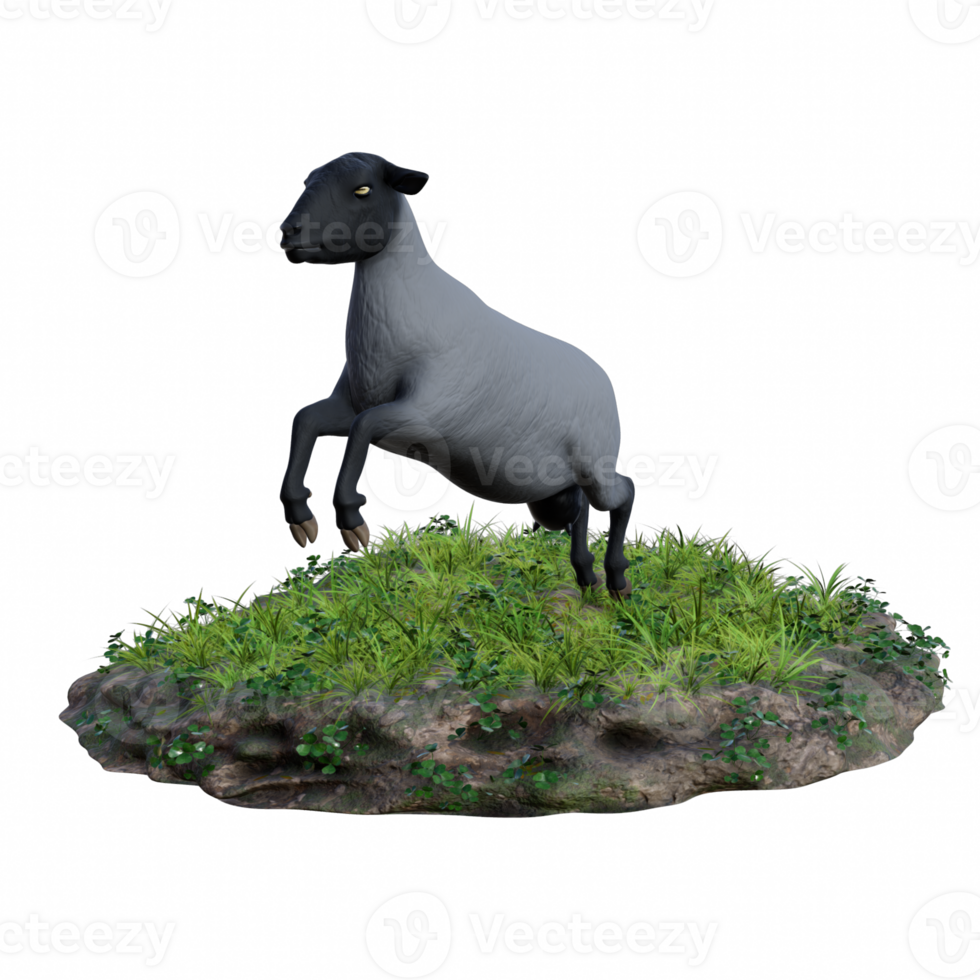 Sheep isolated 3d png