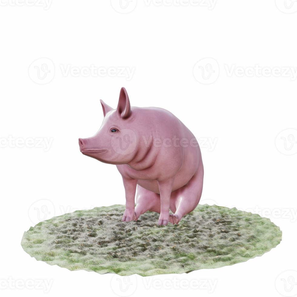 Pig isolated 3d png