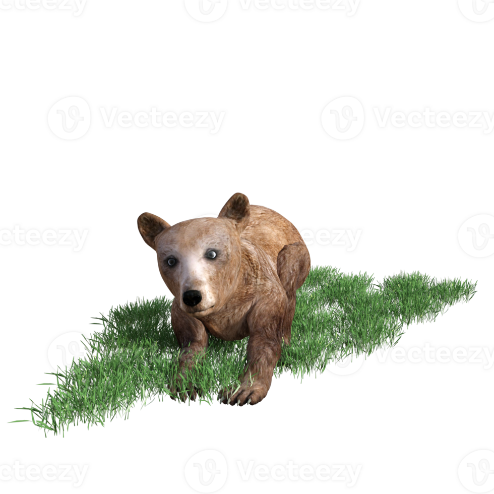 3d rendering of a brown bear on grass png
