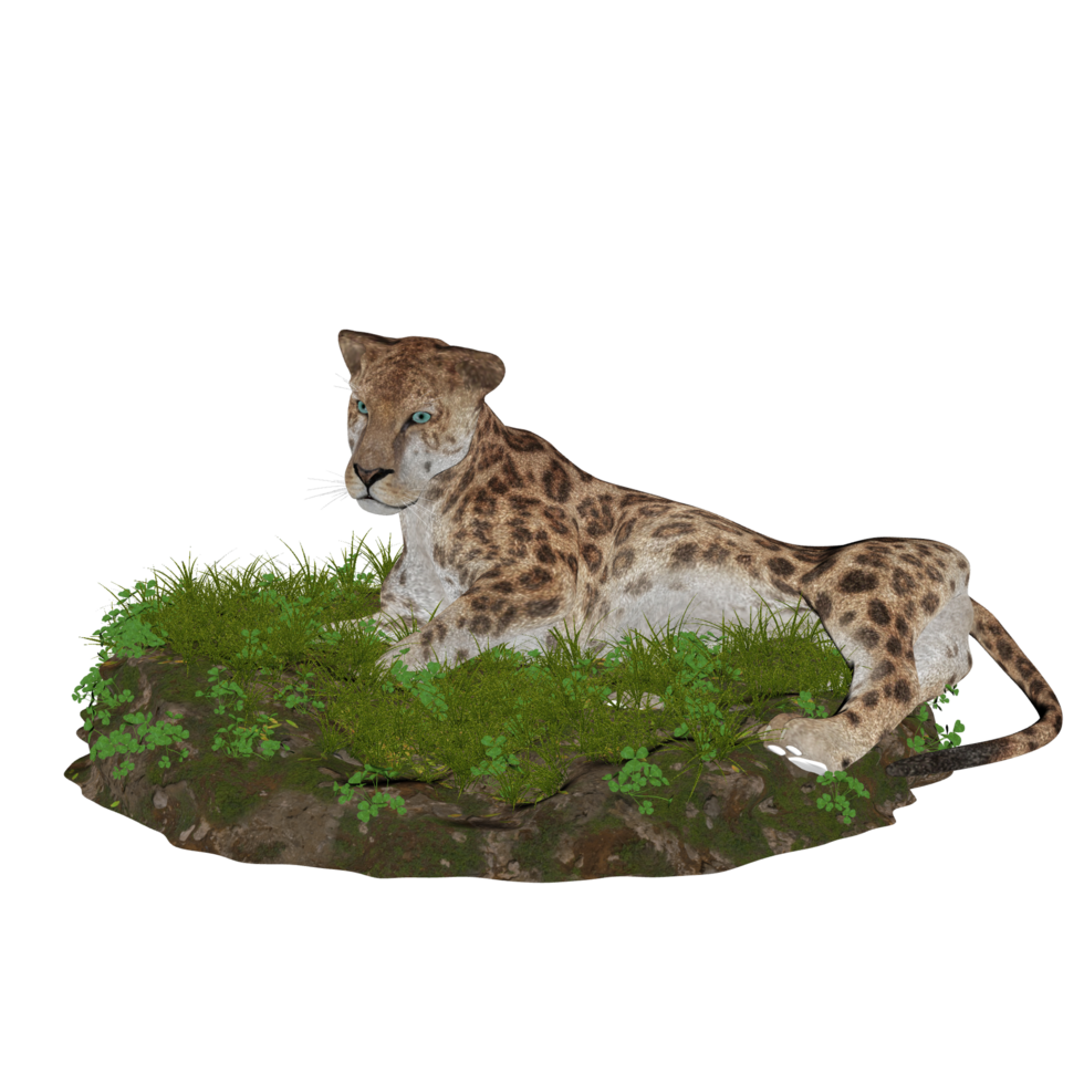 Tiger isolated 3d png