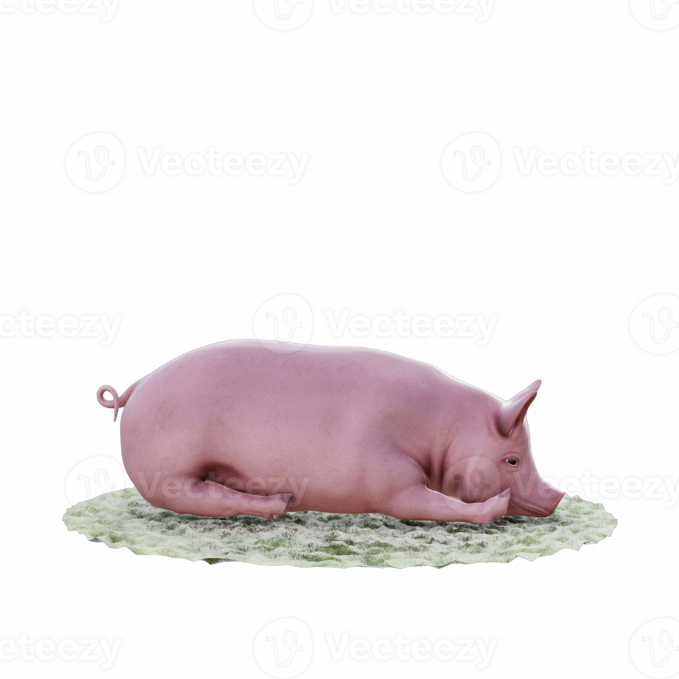 Pig isolated 3d png