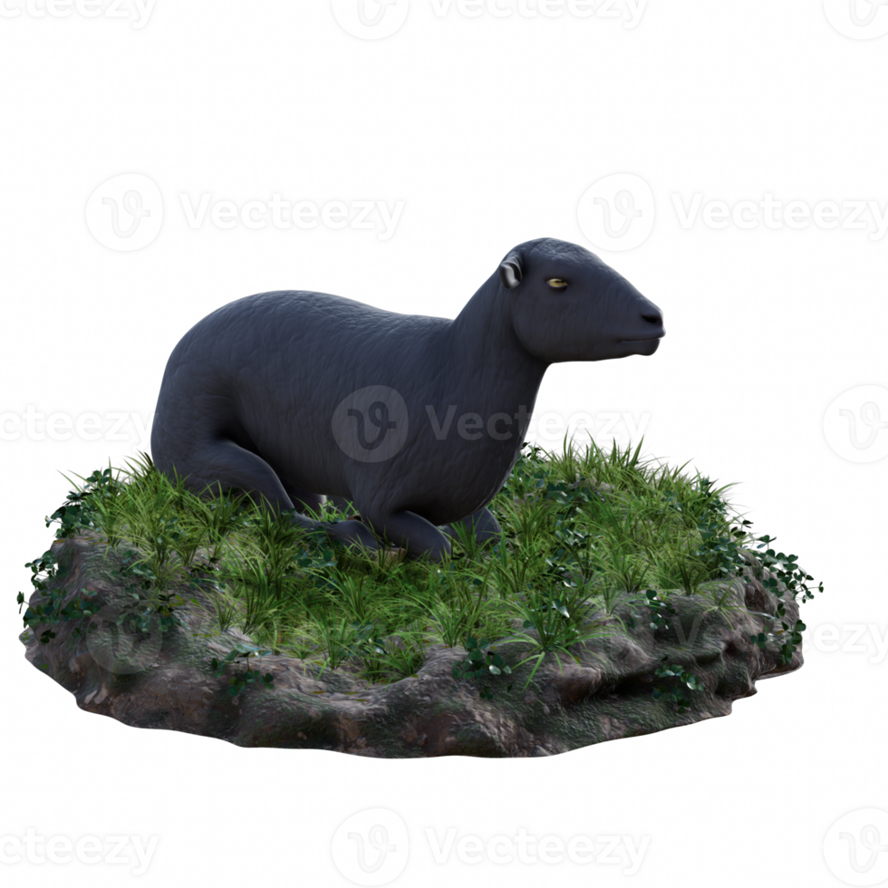 Sheep isolated 3d png