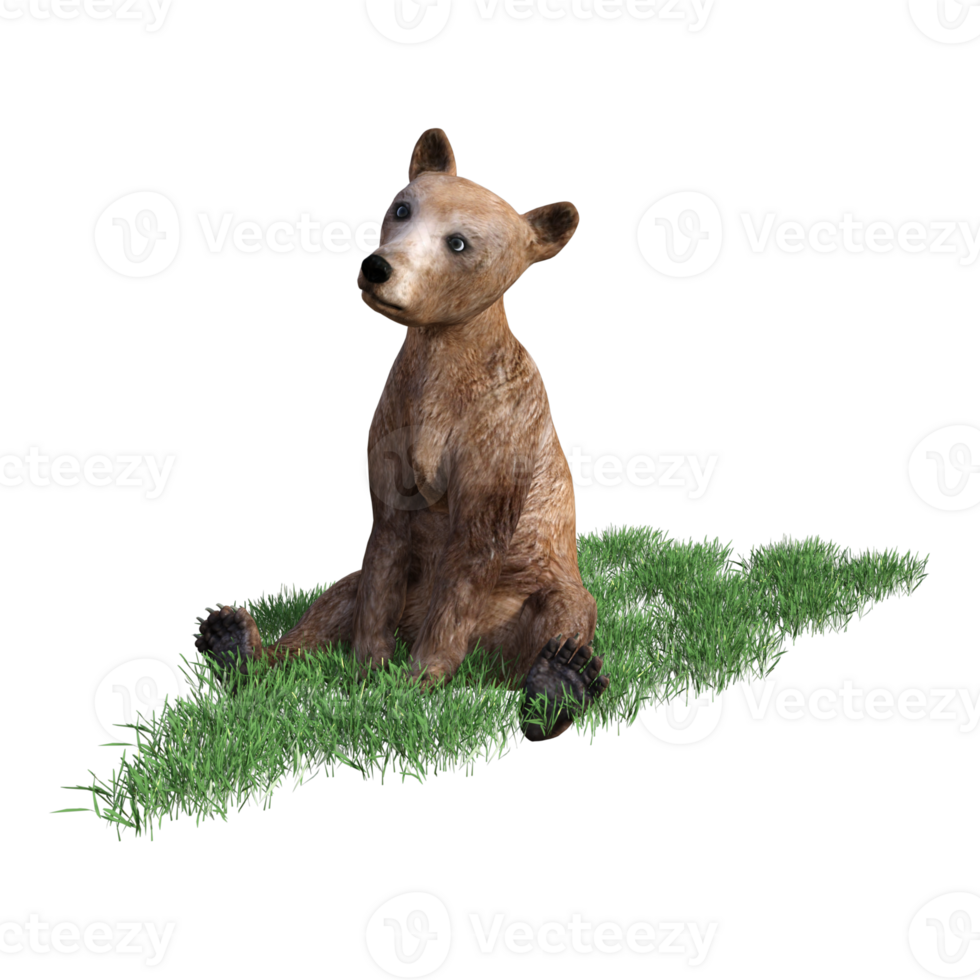 3d rendering of a brown bear on grass png