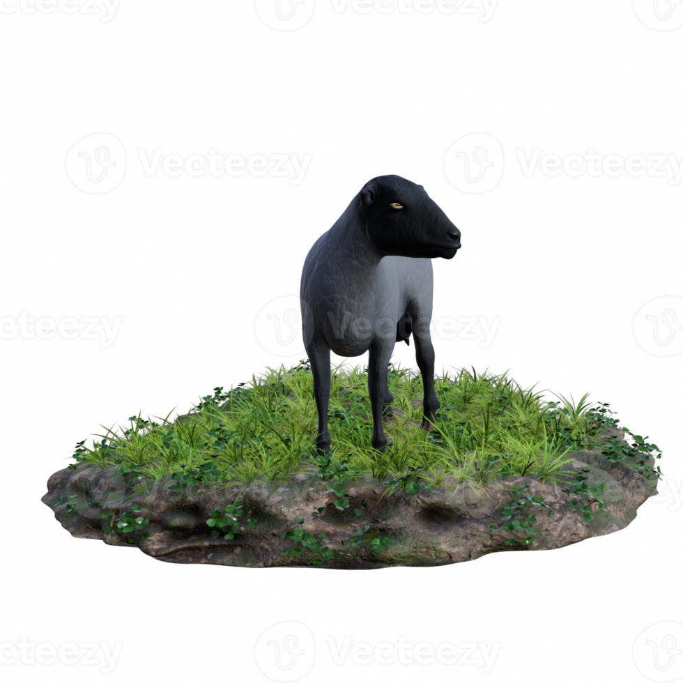 Sheep isolated 3d png