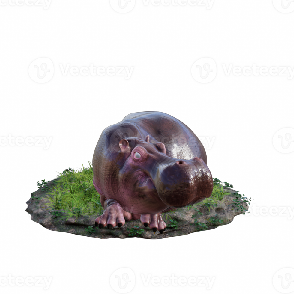 hippopotamus isolated 3d png
