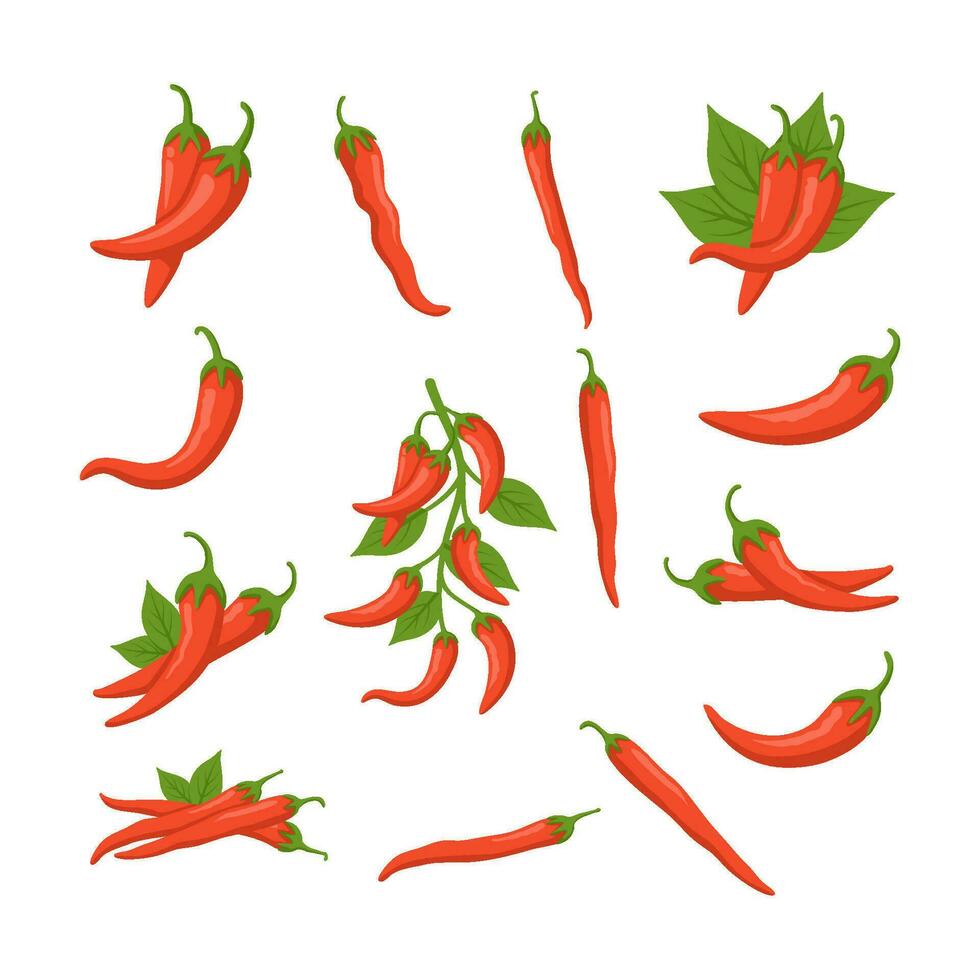 Set of Red Chilli Vector Illustration