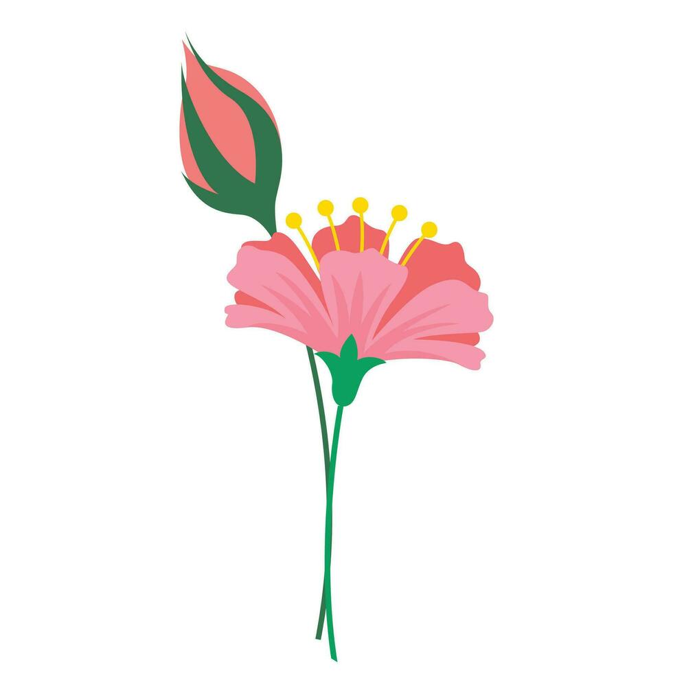 Vector spring flower collection illustration