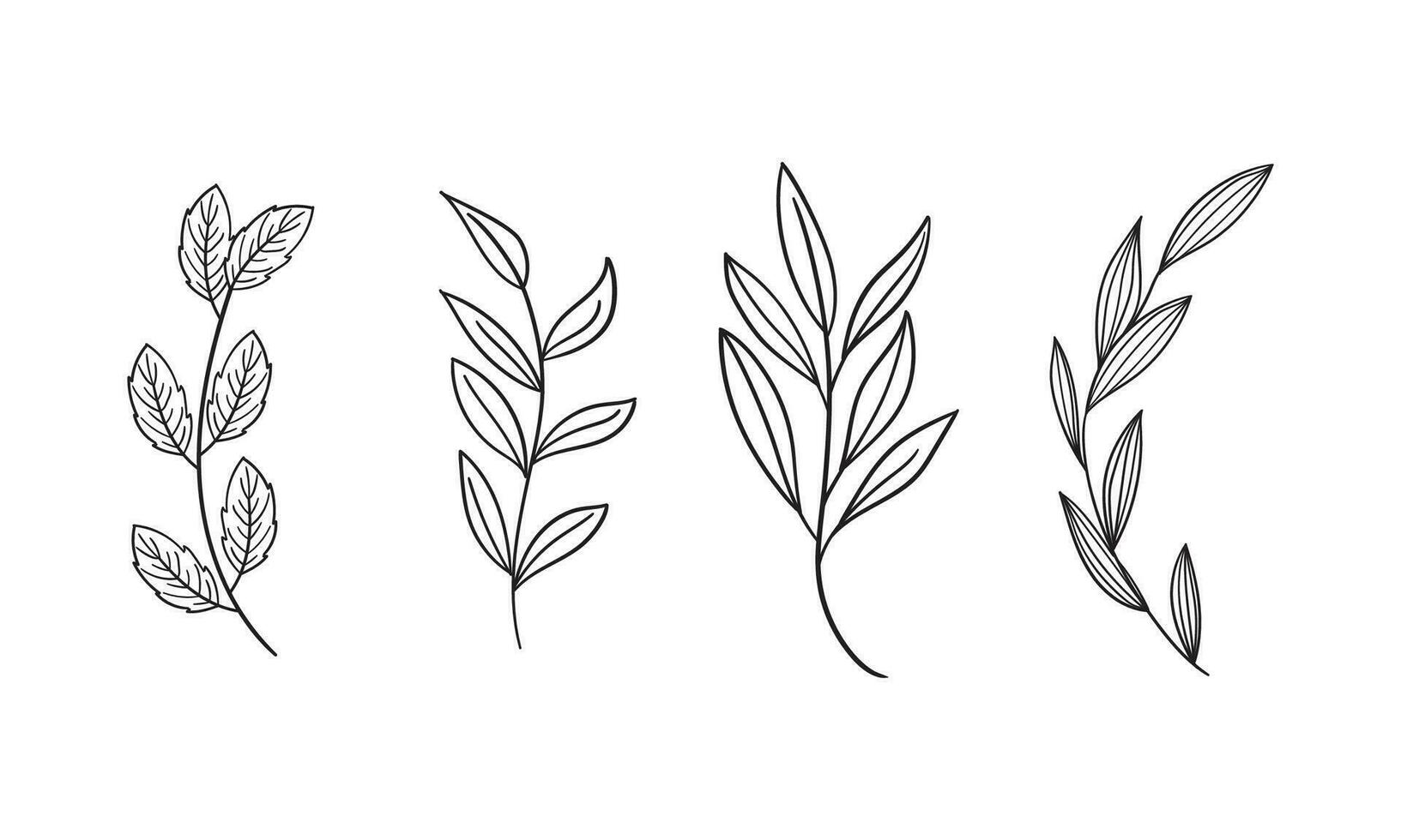 Vector hand drawn leaves floral isolated clipart