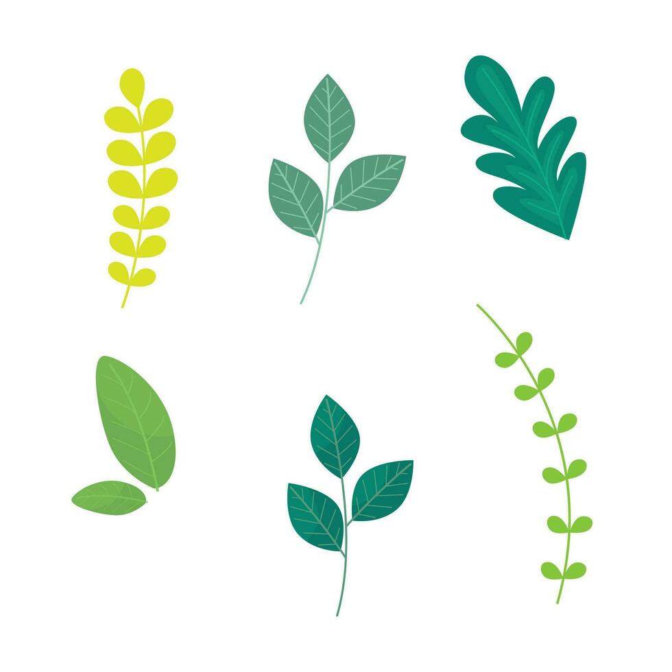 Vector different green leaves pack flat design