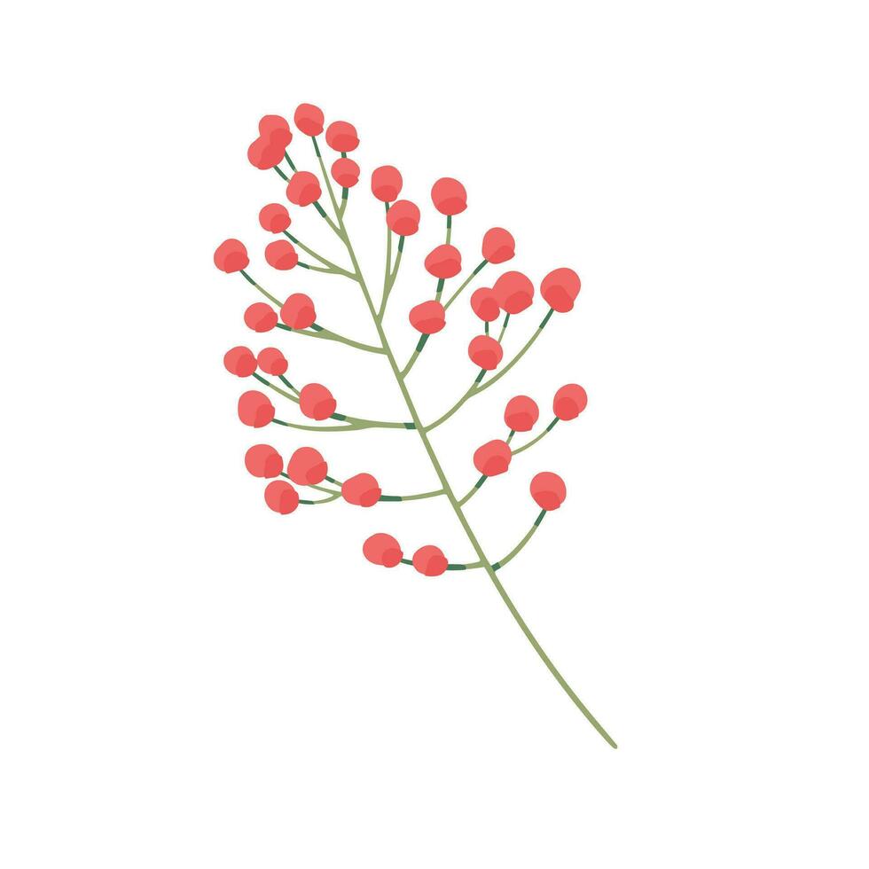 Vector hand drawn mimosa plant illustration
