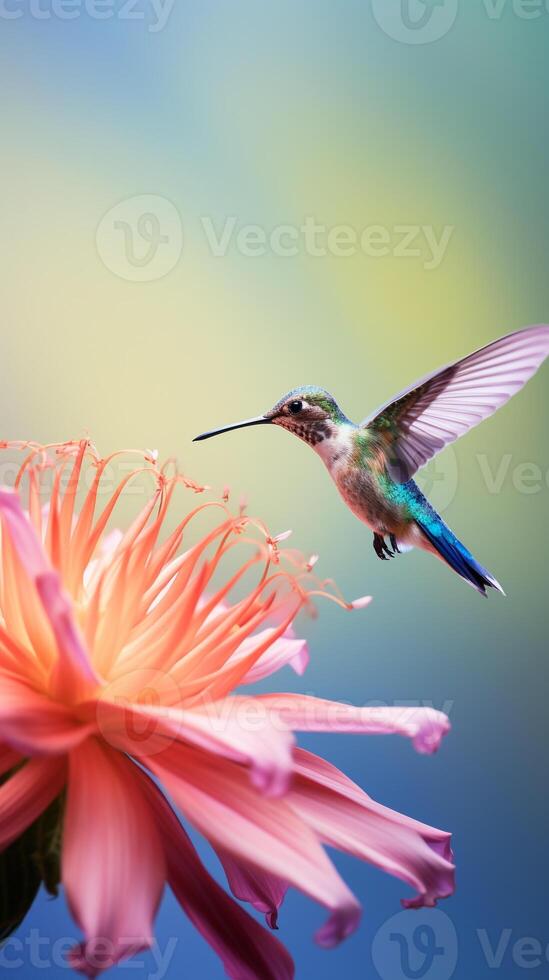 Minimalist capture of a hummingbird mid-flight sipping nectar from an exotic flower photo