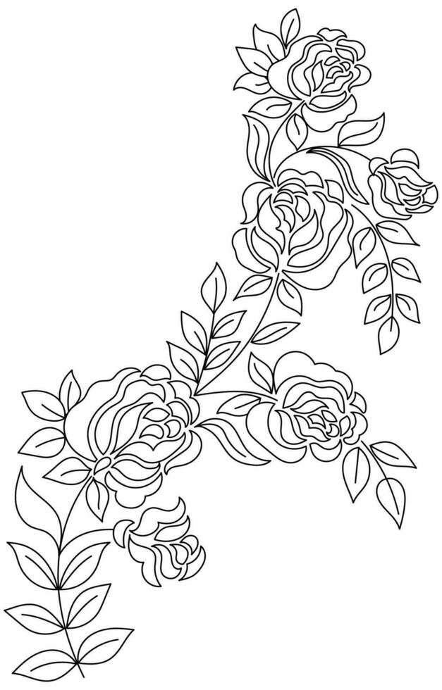 Rose, black and white with lines on a white background. rose flower