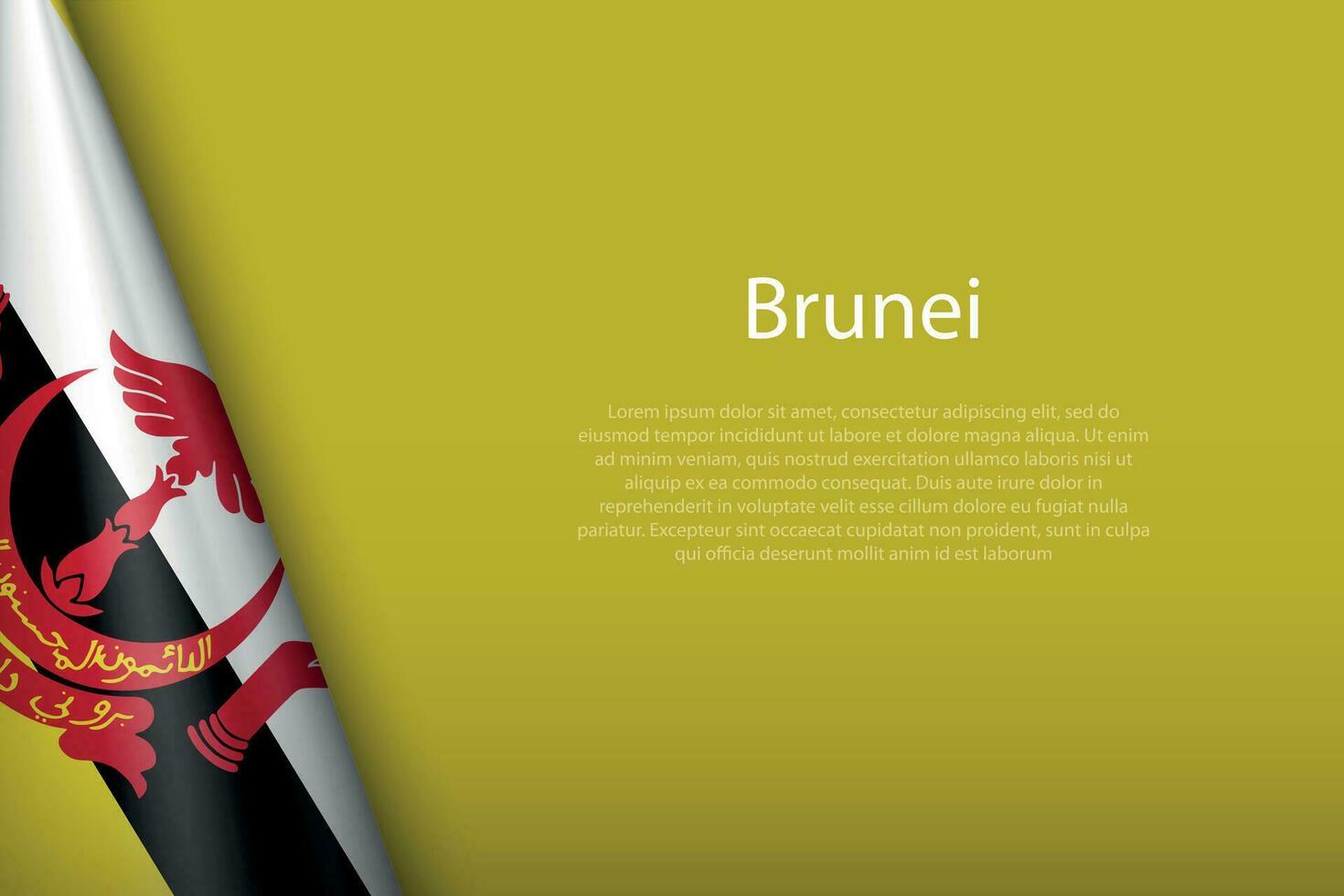 national flag Brunei isolated on background with copyspace vector