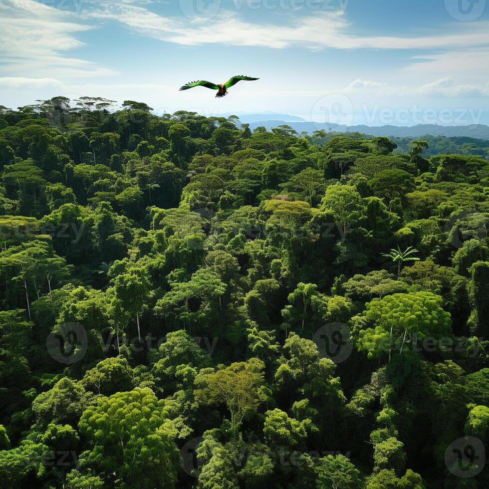 Dense, emerald-green jungle scene with a vibrant parrot flying amidst the foliage photo