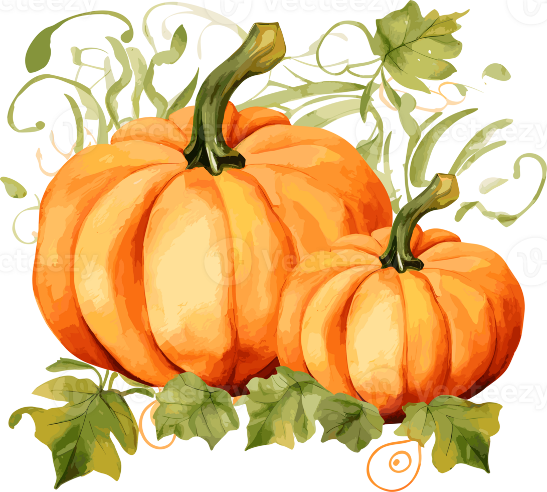 Watercolor Pumpkin, Thanksgiving Day Clipart Illustration, Created With Generative AI Technology png