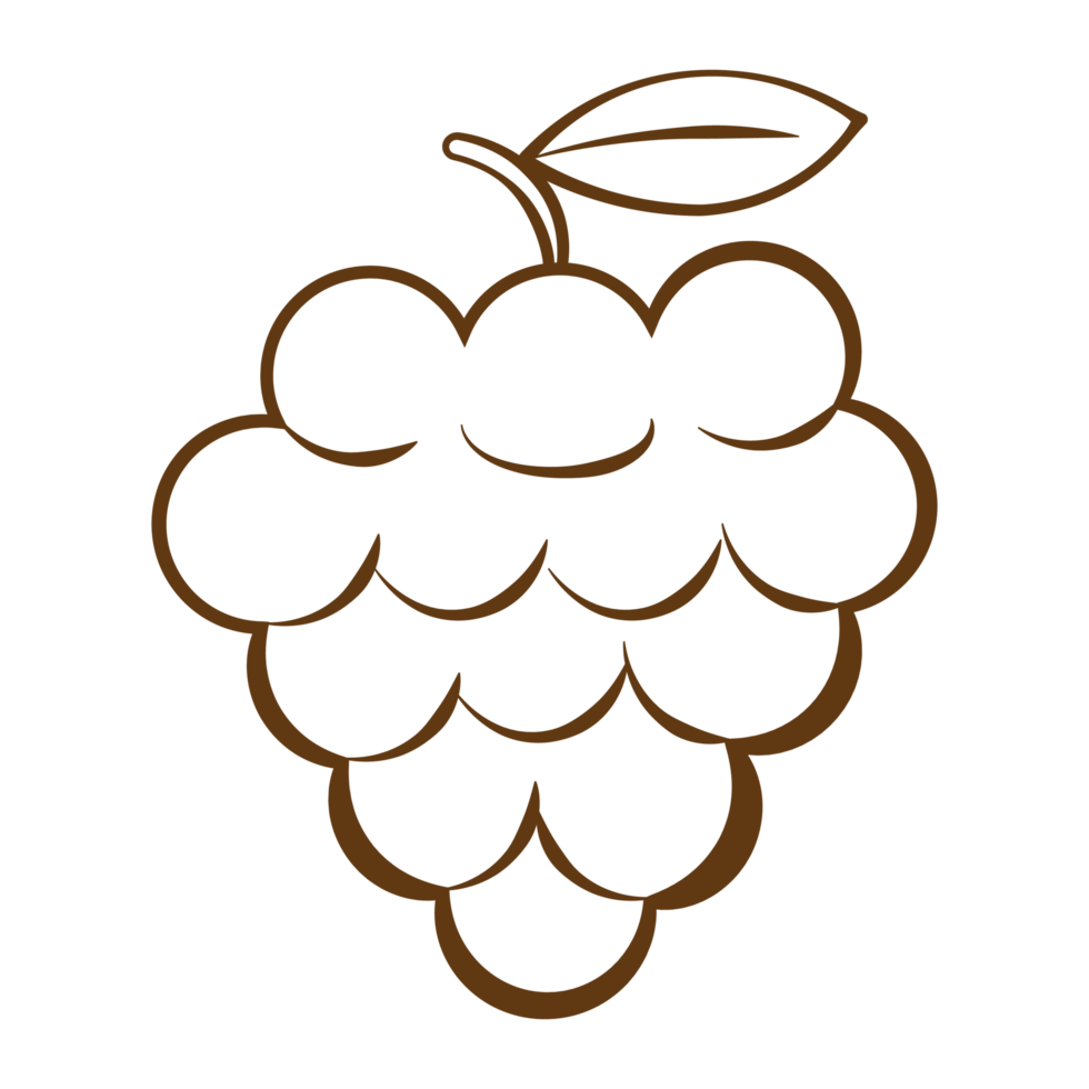 Grapes Fruit Vegetable Line Style png