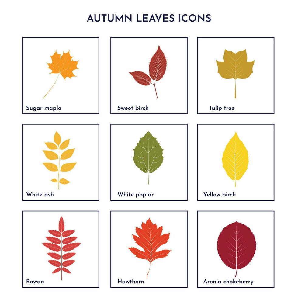 otoño hojas íconos conjunto con plano diseño vector