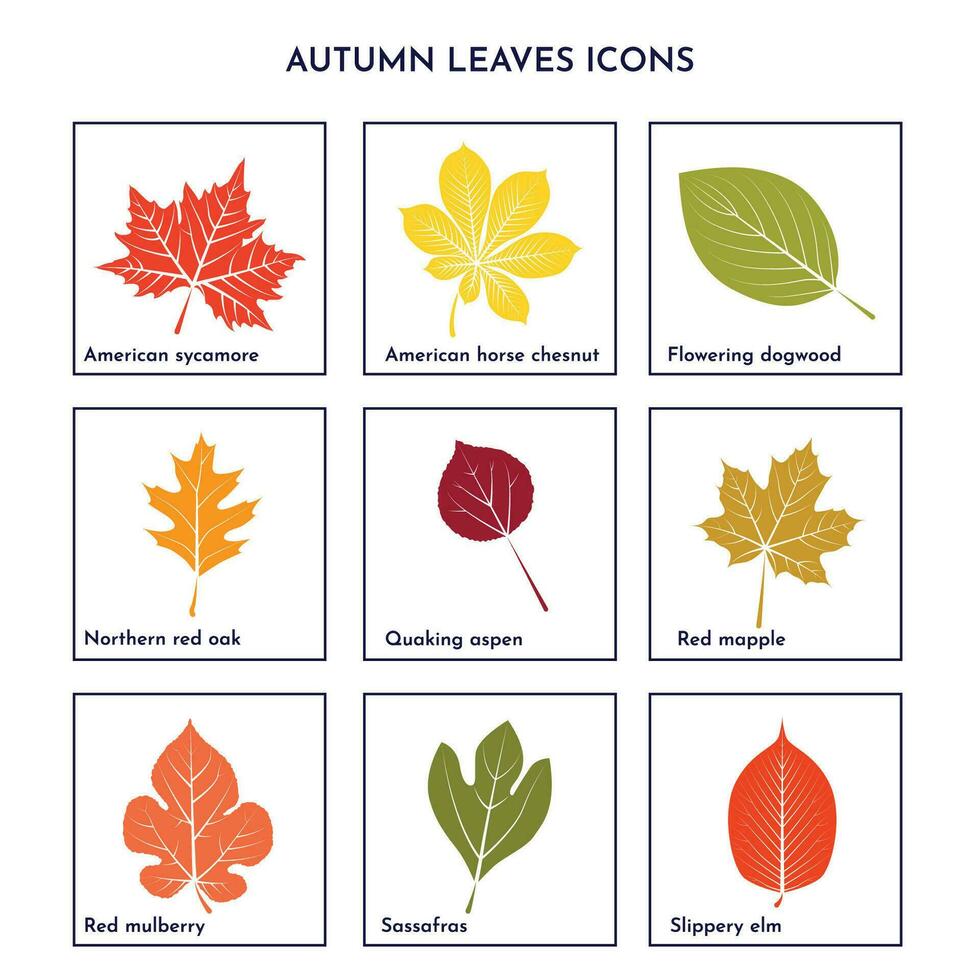 otoño hojas íconos conjunto con plano diseño vector