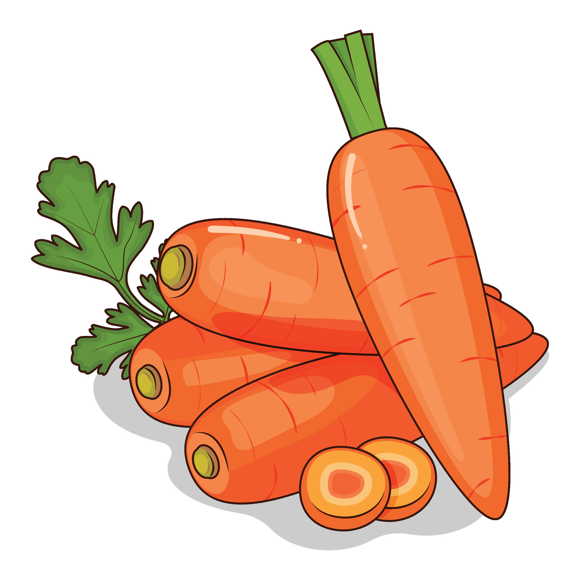 Cartoon Vegetables of Four Whole Carrots with Slice Carrots 28650573