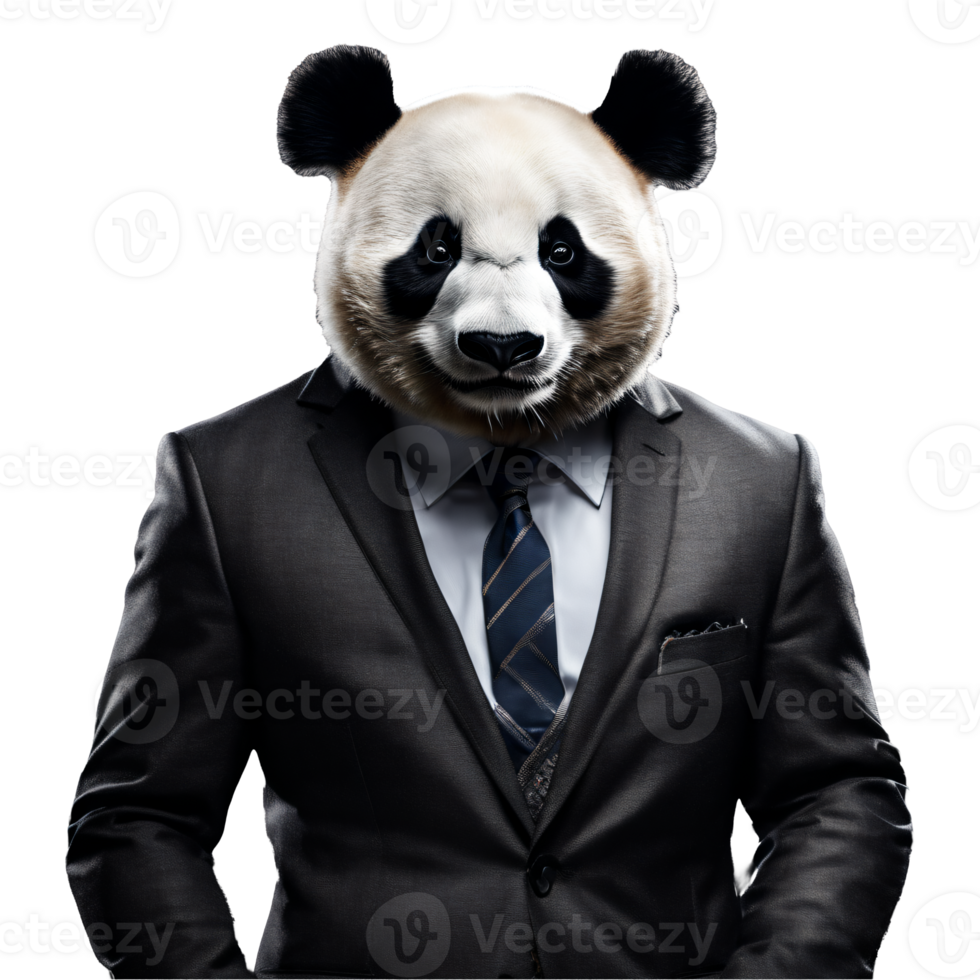 Portrait of Humanoid Anthropomorphic Panda Wearing Businessman Suit Isolated Transparent Generative AI png