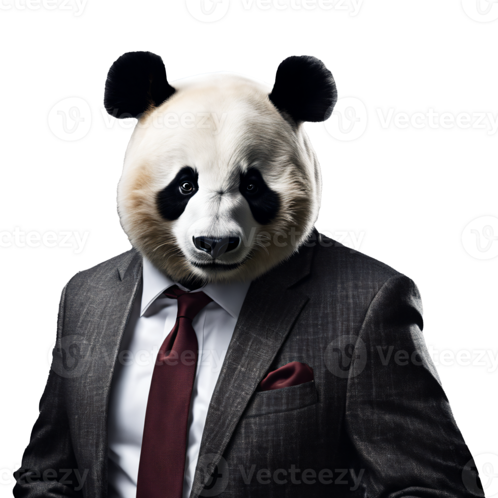 Portrait of Humanoid Anthropomorphic Panda Wearing Businessman Suit Isolated Transparent Generative AI png