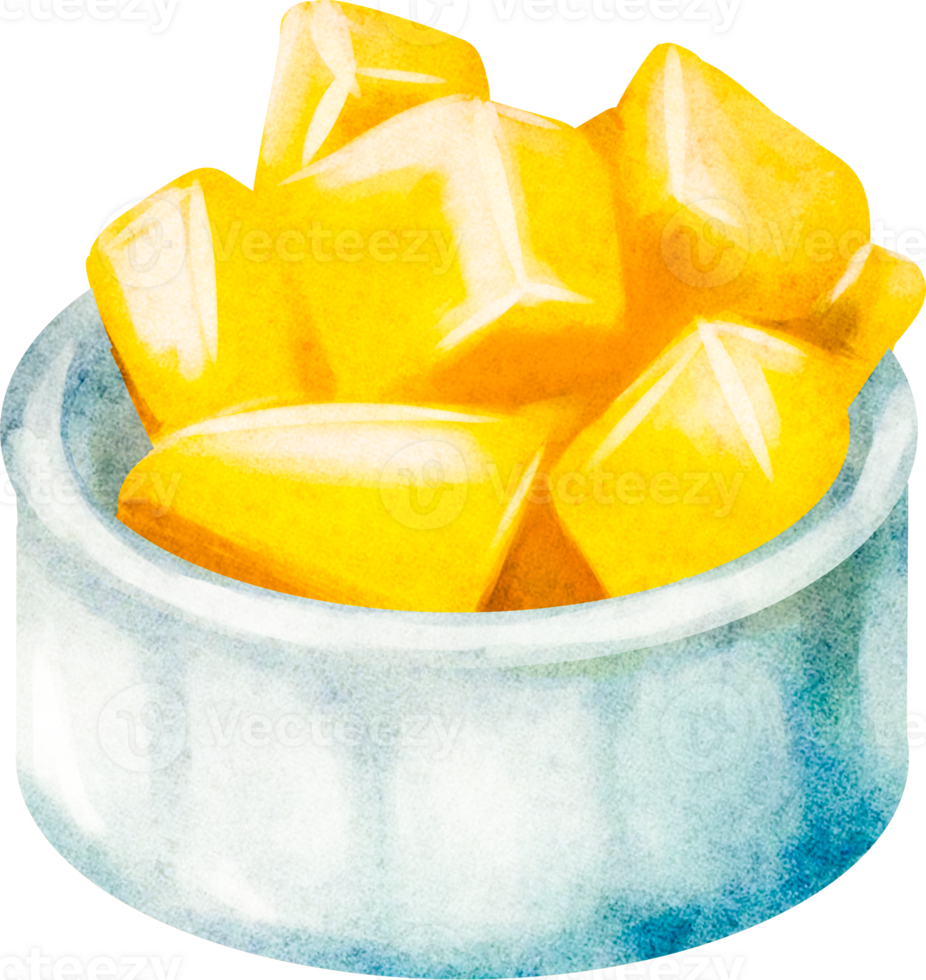 melon fruit fresh png