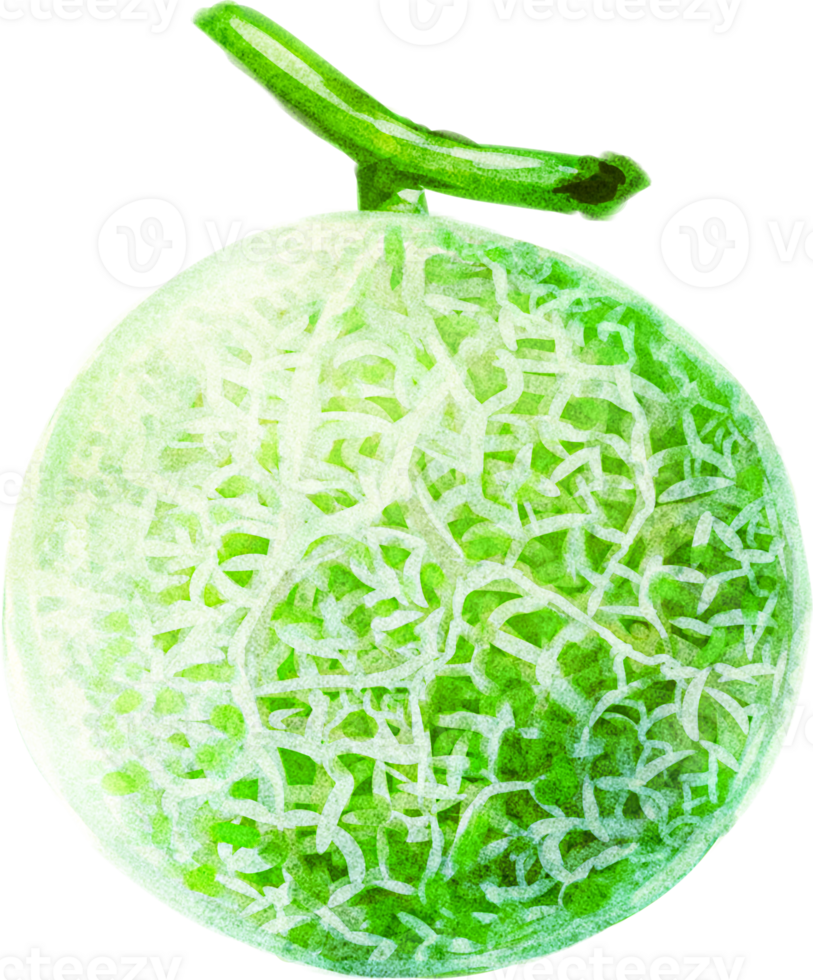 melon fruit fresh png