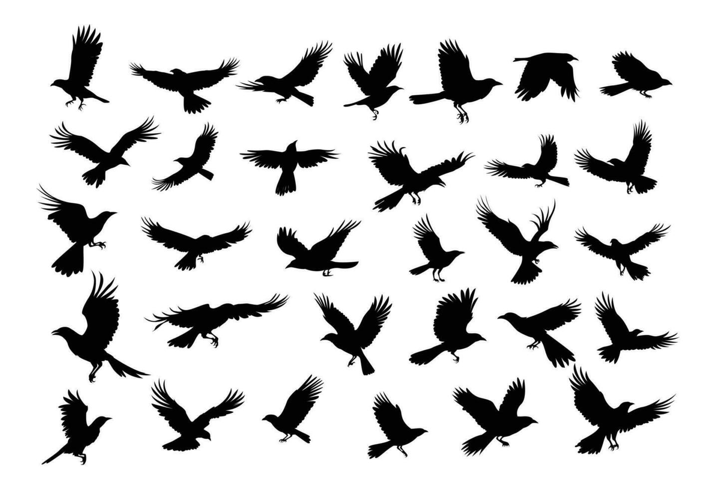 crows  set  ,hand drawn silhouette. vector