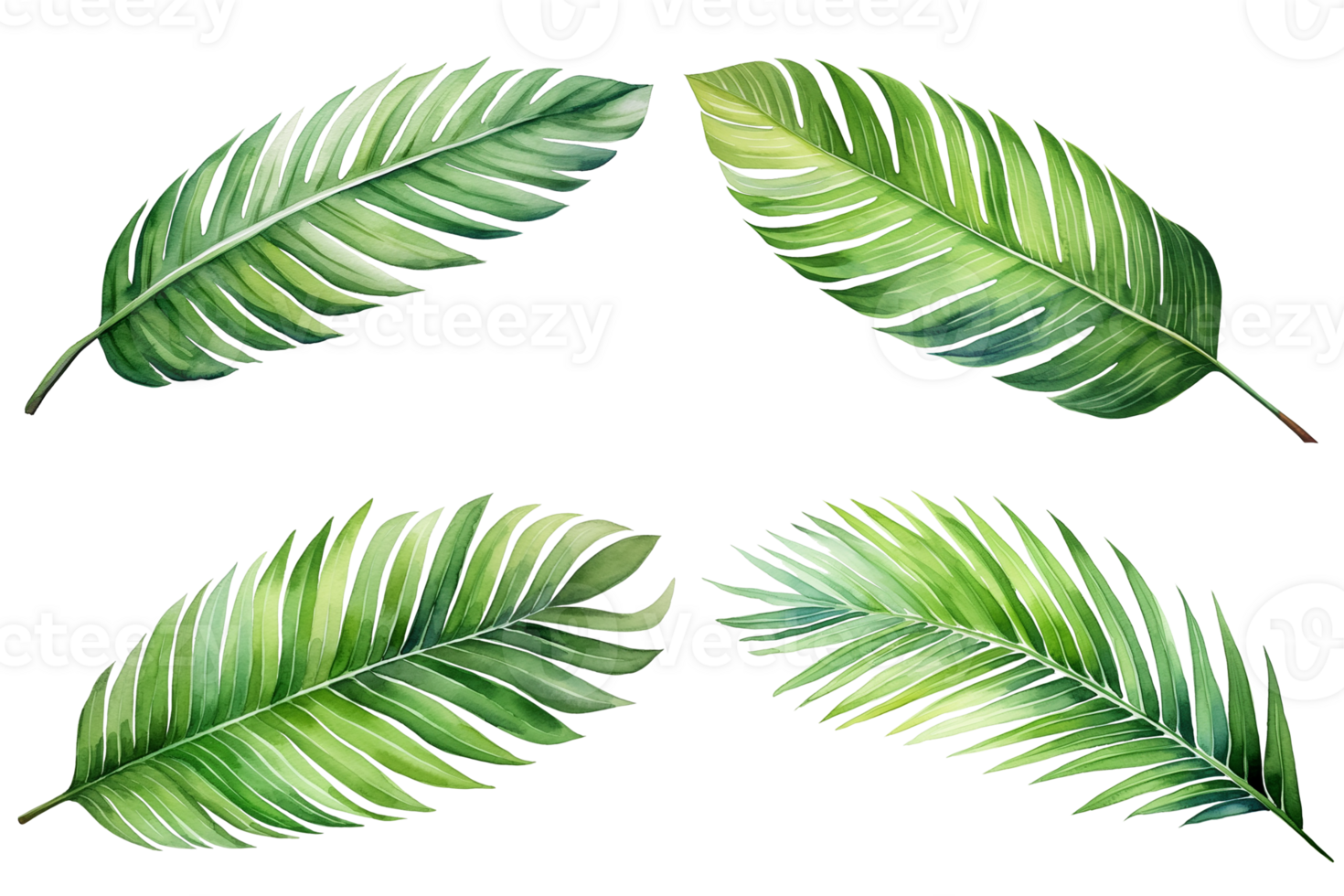 Set of watercolor of palm leaves isolated on a transparent background. Watercolor illustration. Generative AI png
